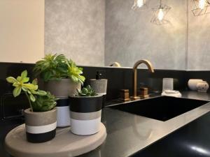 a bathroom with a sink and potted plants on a counter at Cobertura com jacuzzi no Centro in Nova Friburgo +40 photos