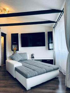 a bedroom with a large bed and a tv at LauvasNams in Dubeņi