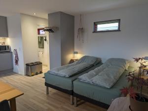 Il comprend un salon avec un lit et une cuisine. dans l'établissement Compact Apartment Hvidager, à Albertslund