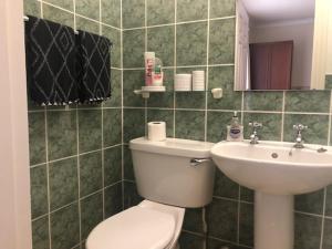ソールズベリーにあるThe Edwardian Lodge Guest Houseのバスルーム(トイレ、洗面台付)