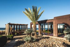 une maison sur la plage avec un palmier dans l'établissement Paradis Plage Surf Yoga & Spa, à Taghazout