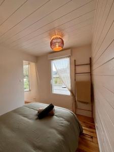 ein Schlafzimmer mit einem großen Bett in einem Zimmer mit Fenster in der Unterkunft Maison hyper centre Ville - 4 Pers - 2 places de Parking gratuites in Quimper