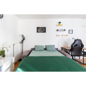 1 dormitorio con cama verde y escritorio en "Spacieux et lumineux" proche Paris, parking gratuit, en Cachan