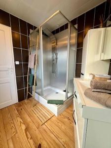 La salle de bains est pourvue d'une douche avec une porte en verre. dans l'établissement Maison hyper centre Ville - 4 Pers - 2 places de Parking gratuites, à Quimper