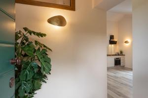 Agriturismo Tenuta i 4 venti的厨房或小厨房
