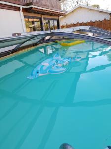 La alberca dentro o cerca de Villa avec piscine et jardin, Gujan-Mestras