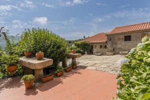 un cortile con piante in vaso e un edificio di Casa Museu da Geada: Room 2 a Cinfães