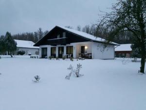 une maison avec de la neige devant elle dans l'établissement Ferienhaus in Feriendorf Silbersee mit Garten, Terrasse und Grill, à Frielendorf