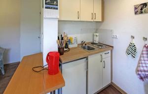 a small kitchen with a counter and a sink at Cozy Apartment In Wusterhusen With Kitchen in Wusterhusen