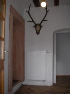 una habitación con cuernos colgando en la pared en Tolles Ferienhaus in Presseck mit Grill und Garten en Presseck