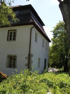 una antigua casa blanca con árboles y arbustos en Tolles Ferienhaus in Presseck mit Grill und Garten en Presseck