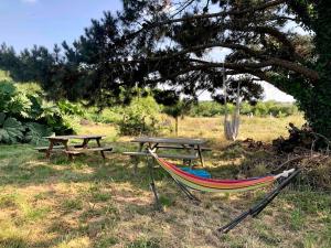 a hammock and picnic tables under a tree at Mumbasa - Gîtes du Fozo - Herbignac - La Roche Bernard in Herbignac