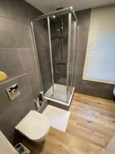 ein Bad mit einer Dusche und einem weißen WC in der Unterkunft Chez Mo in La-Roche-en-Ardenne