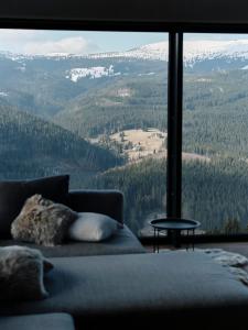 ペツ・ポト・スニェシュコウにあるChalet BERGの山の景色を望む部屋のソファ