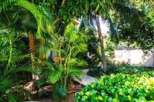 a garden with palm trees and bushes at CocoCasa 22 Stylish Luxury Apartment with Pool near Jan Thiel Beach in Willemstad +5 photos