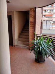 a balcony with a staircase and a potted plant at Apartamento El Toboso in Alcalá de Henares