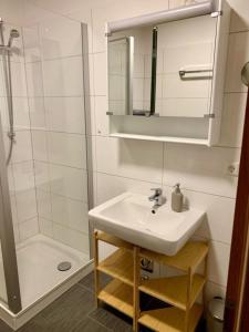 a bathroom with a sink and a shower at Haus Delbar in Bodman-Ludwigshafen