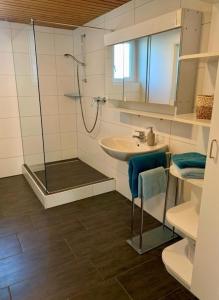 ein Bad mit einer Dusche, einem Waschbecken und einer Glasdusche in der Unterkunft Haus Alkmene in Bodman-Ludwigshafen