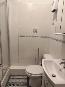 ein Bad mit einem WC, einem Waschbecken und einer Dusche in der Unterkunft Dallkey Retreat in Dalkey