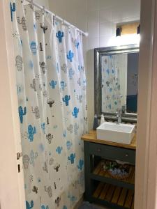 baño con lavabo y cortina de ducha en departamento boutique zona aldrey en Mar del Plata
