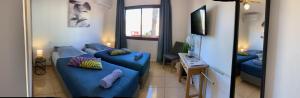 Bedroom with shared bathroom and swimming pool في كوراليخو: غرفة معيشة مع اثنين من الأرائك الزرقاء في غرفة