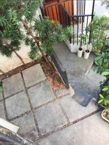 a patio with a tree and some plants on it at JSB Residences Cebu A-flat in Tugbongan