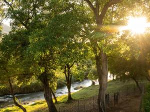 a river with the sun shining through trees at Hazyview Cabanas in Hazyview