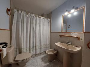 a bathroom with a toilet and a sink at Hostal restaurante Villa de Sepúlveda in Sepúlveda +67 photos