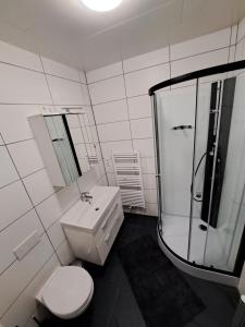 a bathroom with a shower and a toilet and a sink at NEU! Fewo zum alten Bäckerlädchen in Neumagen-Dhron +20 photos