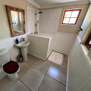 a bathroom with a toilet and a sink at Steynskraal Gasteplaas in Beaufort West