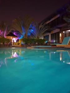 a swimming pool at night with palm trees at Villas Rocher - Villa 2 in Grand-Baie
