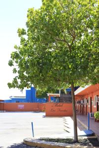 un arbre dans un parking à côté d'un bâtiment dans l'établissement Motel Las Fuentes, à Mexicali