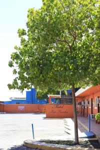 a tree in a parking lot next to a building at Motel Las Fuentes in Mexicali