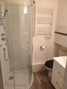 ein Bad mit einer Glasdusche und einem WC in der Unterkunft Appartement T1 proche métro Oullins Centre in Oullins
