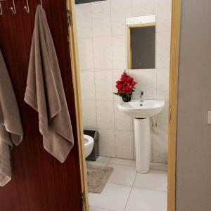 a bathroom with a sink and a toilet at Estepona Playa Hostel in Accra