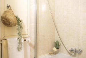 ein Bad mit einer Dusche mit einer Pflanze in der Unterkunft La Robertsau, Lumineux, Paisible in Straßburg
