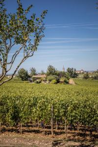 Foto da galeria de Les Clefs de Troplong Mondot em Saint-Émilion