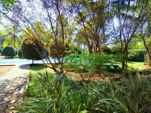 un parque con un banco, árboles y césped en Hotel Water Nest en Etagama