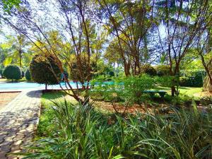 Hotel Water Nest في Etagama: حديقة فيها مقاعد واشجار وعشب