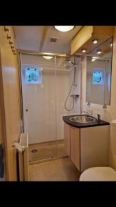 een badkamer met een wastafel, een douche en een toilet bij 6 persoons chalet op de Veluwe in Arnhem