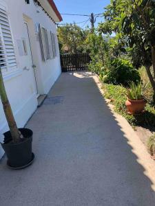 a sidewalk next to a house with a tree in a pot at GuestReady - Nature's Haven Retreat in Pedrógão Pequeno