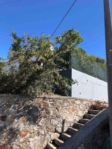 a set of stairs with trees on top of a building w obiekcie GuestReady - Nature's Haven Retreat w mieście Pedrógão Pequeno