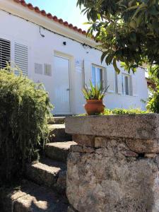 a house with stairs and a potted plant on it at GuestReady - Nature's Haven Retreat in Pedrógão Pequeno