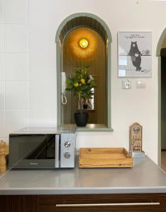 a kitchen counter with a microwave and a vase of flowers at Apartament Familijny in Przemyśl +25 photos
