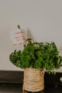 a plant in a basket sitting on a table at Villa Shepherd Lajares - LUXURY VILLA FUERTEVENTURA in Lajares