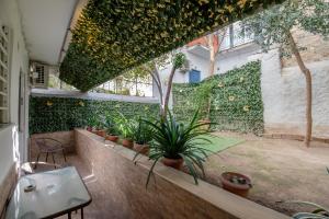 an indoor garden with plants in a building at Kallithea Gardenspot in Athens