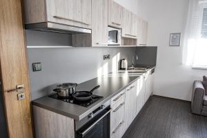 una piccola cucina con piano cottura e lavandino di Penzion Fann a Humpolec