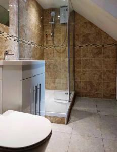 a bathroom with a shower with a toilet and a sink at High View Studio with terrace & sea views in Barmouth