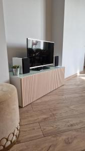 Elle comprend une télévision à écran plat. dans l'établissement Marijas Street Apartment with Comfort for 5 in Riga Centre, à Riga