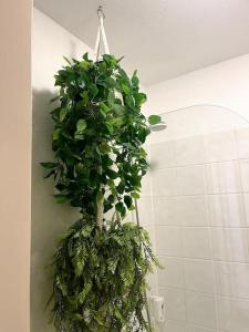 a plant hanging from a wall in a bathroom at Lugrin proche du Lac et Montagne in Lugrin